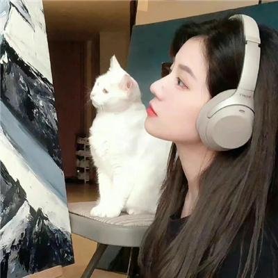 他们她们