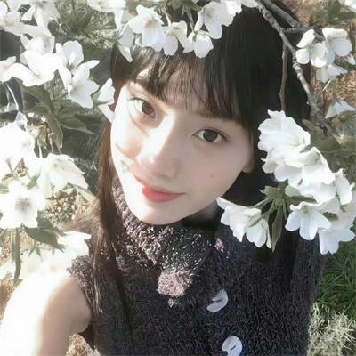 夏普的传奇